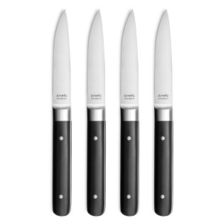 Fusion - Coffret 4 couteaux steak
