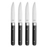 Fusion - Coffret 4 couteaux steak