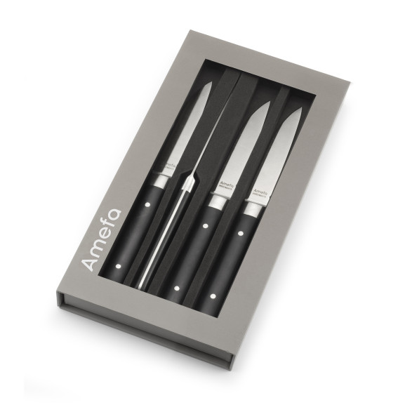 Fusion - Coffret 4 couteaux steak