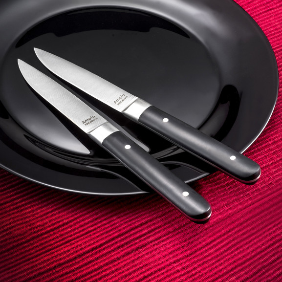 Fusion - Coffret 4 couteaux steak
