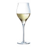 Exaltation - 6 flûtes à champagne 35cl