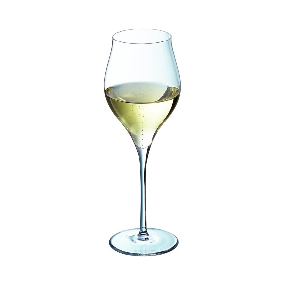 Exaltation - 6 flûtes à champagne 35cl