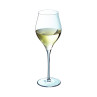 Exaltation - 6 flûtes à champagne 35cl