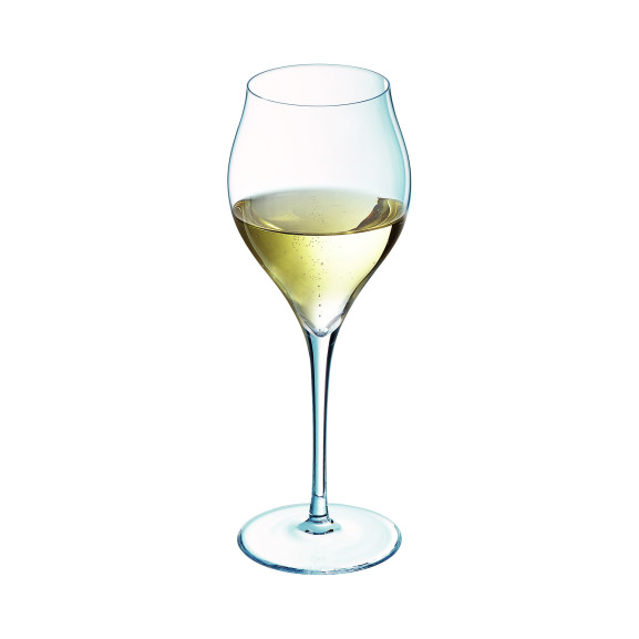 Exaltation - 6 flûtes à champagne 30cl