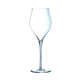 Exaltation - 6 flûtes à champagne 35cl