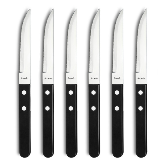 Steak Pizza 20 - Coffret 6 couteaux steak