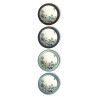 Oxalis - Coffret 6 assiettes plates