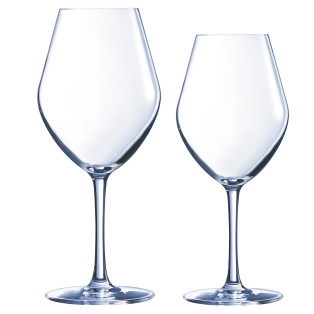 Lys - Lot de 6 verres à pied 25cl et 6 verres à pied 35cl