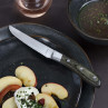 Achille Bois de pakka - Coffret de 4 couteaux steak
