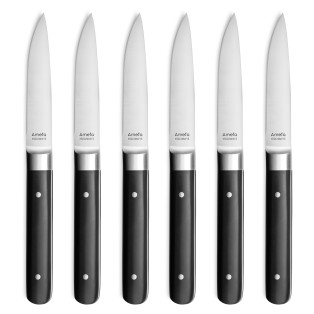 Fusion - Coffret 6 couteaux steak