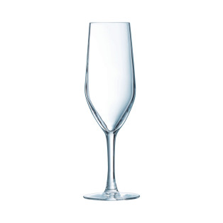 Evidence - 6 flûtes 16 cl