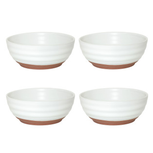 Fuji Terra Cotta - 4 Poke Bowl