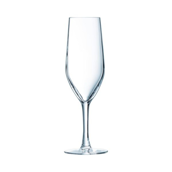 Evidence - 6 flute 16 cl
