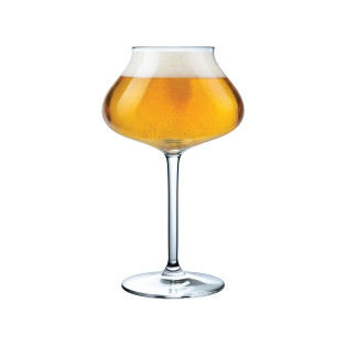Beer Expert - 6 verres à...