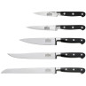 V Sabatier - Bloc 5 couteaux de cuisine