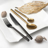 Diplomate Noir mat - 12 cuillères à café