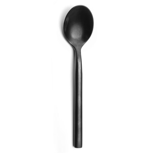 Diplomate Noir mat - 12 cuillères à café