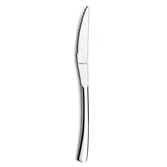 Havane - 12 couteaux steak monobloc