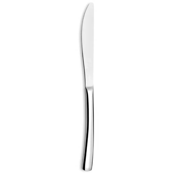 Havane - 12 couteaux de table monoblocs